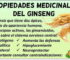 Beneficios de la infusion de ginseng
