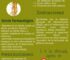 Beneficios y contraindicaciones del ginseng siberiano