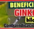 Beneficios y contraindicaciones del ginseng y ginkgo biloba