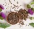 Cómo se prepara el té de semillas de cardo mariano