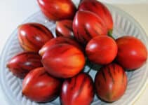 Jugo de tomate de árbol para el colesterol