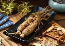 Que es panax ginseng root extract