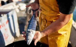Beneficios del colageno de las escamas de pescado