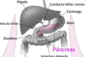 5 formas naturales de limpiar el colon y el hígado para mejorar tu salud