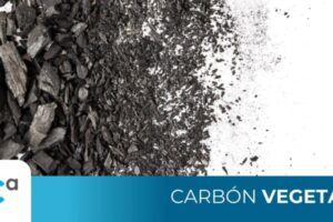 Cómo el carbón activado puede purificar tu colon de forma natural