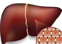 4 Recetas de jugos para desintoxicar el hígado 4 Recetas de jugos para desintoxicar el hígado