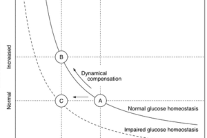 Plantas Medicinales para la Neuropatia Diabetica