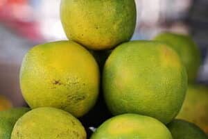 Secretos Revelados: Cómo Preparar el Mejor Jugo Verde Casero para una Salud Óptima