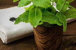 Beneficios de los jugos naturales para desintoxicar el hígado: ¡Descubre cómo mejorar tu salud!