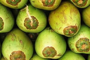 Mejores jugos naturales para aliviar la inflamación del intestino grueso