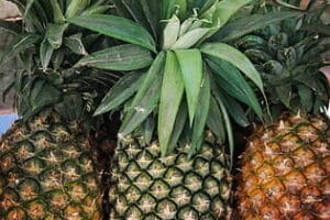 5 Jugos Naturales para Desinflamar el Vientre y Limpiar el Colon