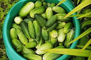 Los mejores jugos naturales para limpiar el colon de forma efectiva