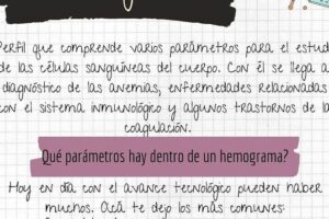6 Jugos Naturales y Alimentos para subir las plaquetas Rapido