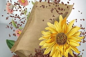 Plantas Medicinales para Oscurecer las canas