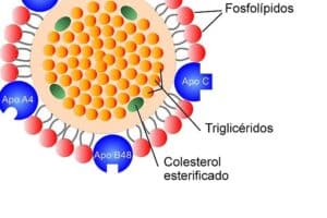 5 deliciosos jugos naturales para reducir los triglicéridos y el colesterol